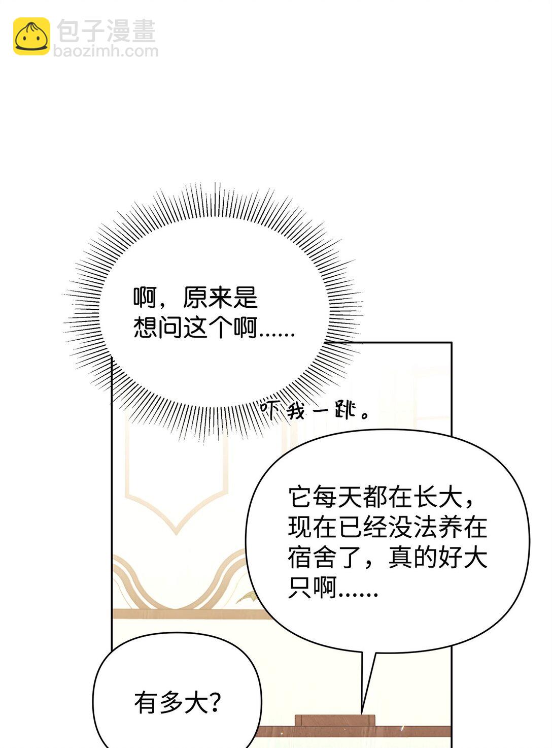 不小心成了师母的转世 - 37 魔法核(1/2) - 6