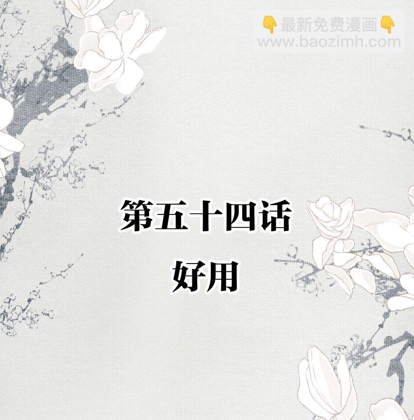054 好用-第63话