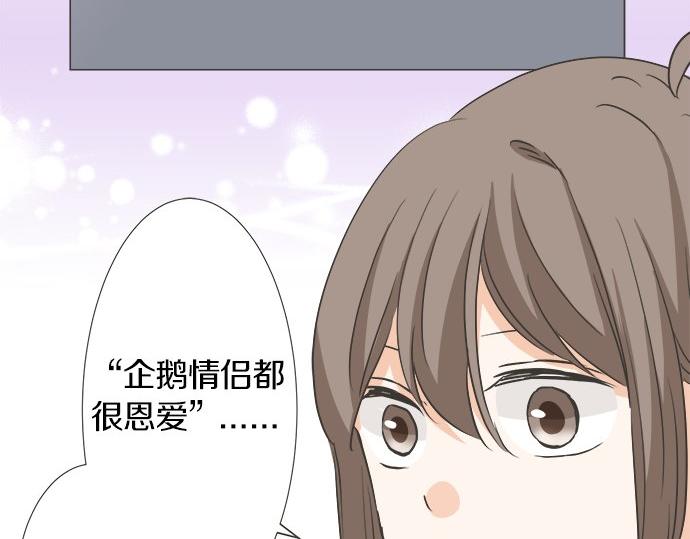 第123话 企鹅情侣(1/2)-第109话