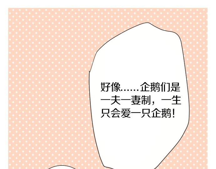 第123话 企鹅情侣(1/2)-第109话