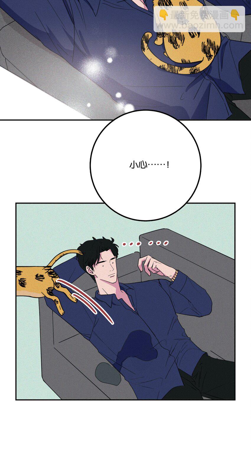 不要吃掉我的小餅乾 - 005 專屬經紀人 - 2