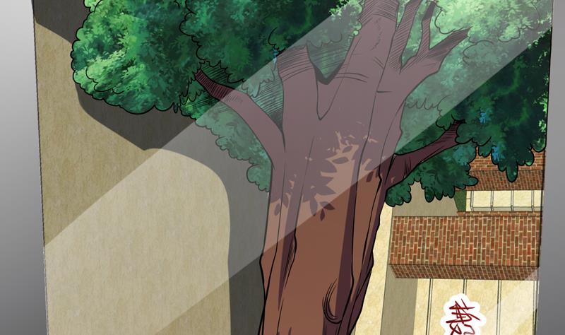 第146话 小花，快醒醒-第145话