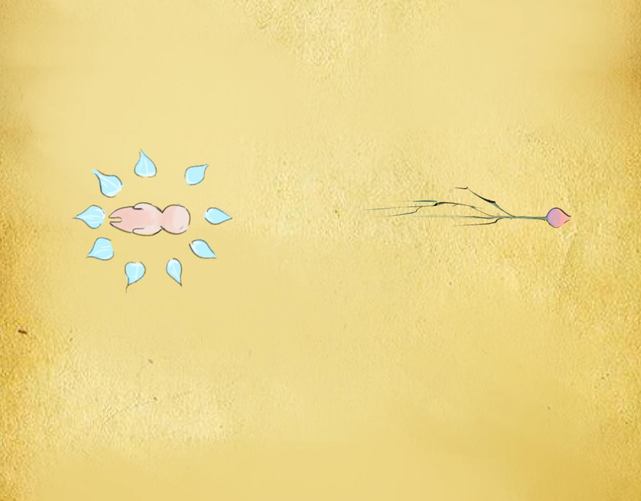 九星紫昙花&middot;十二(1/2)-第13话