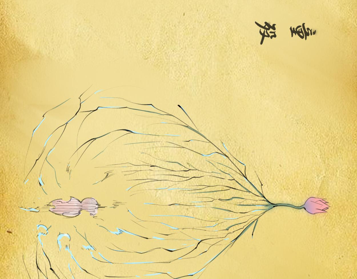 九星紫昙花&middot;十二(1/2)-第13话