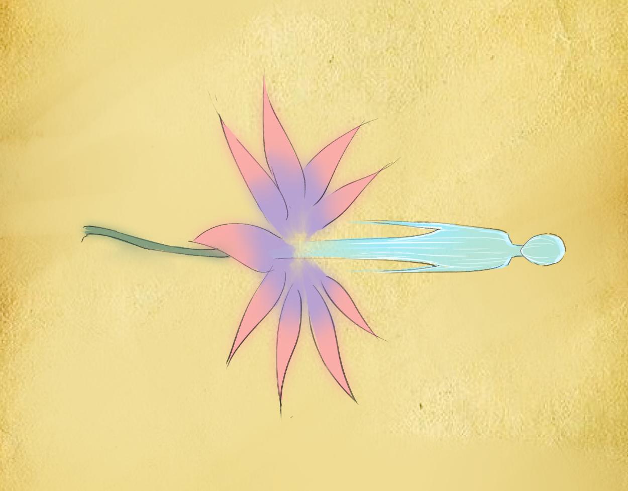 九星紫昙花&middot;十二(1/2)-第13话