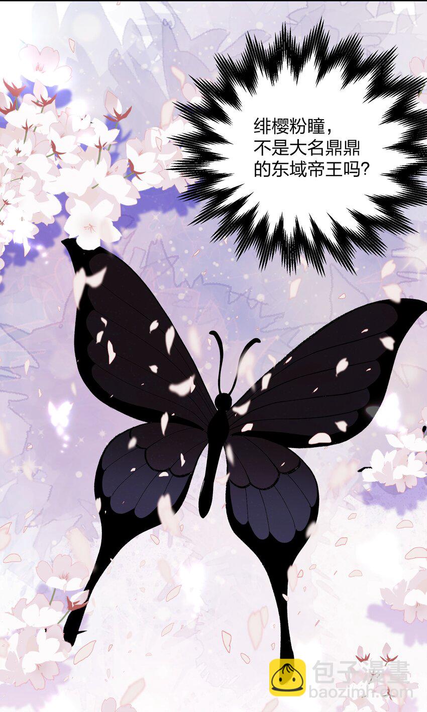 27 宠兽食量大挑战？！(1/2)-第27话