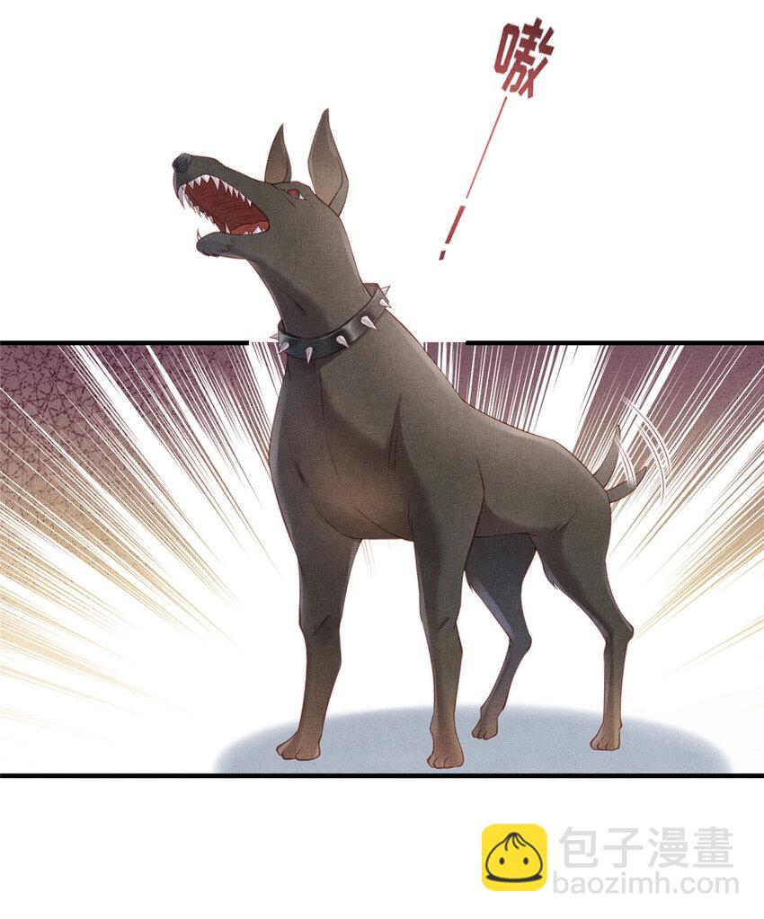 長公主她每天都想造反 - 086 遇襲 - 4