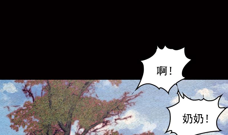 第107话 奶奶走了(1/2)-第107话