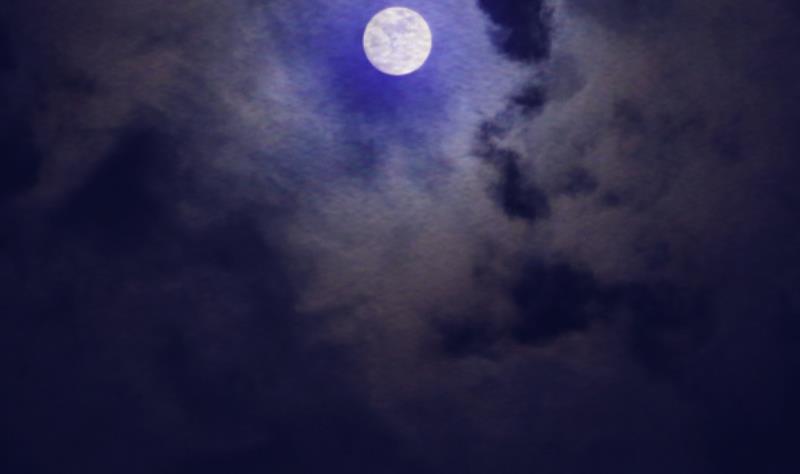 第185话 舅舅(1/2)-第185话