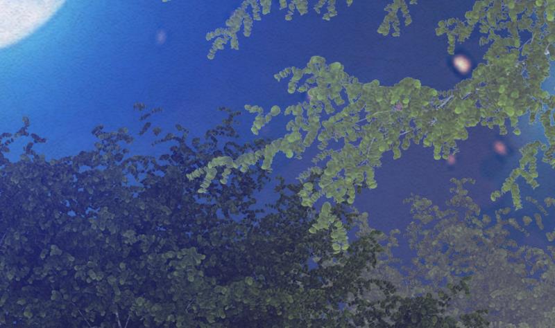 第43话 合棺回家(1/2)-第43话