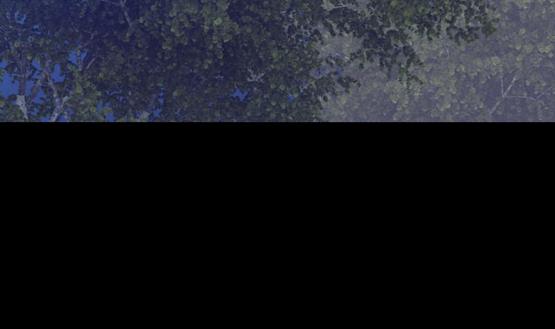 第43话 合棺回家(1/2)-第43话