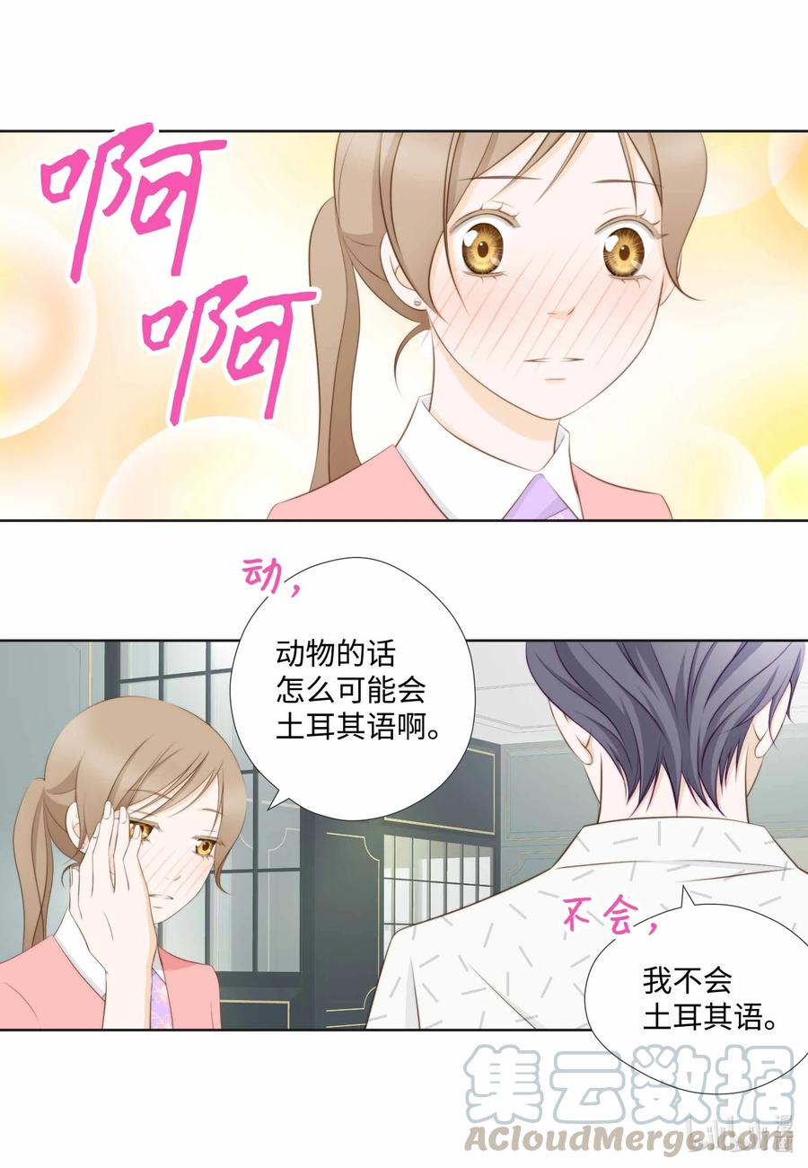 61 缺乏sevda(1/2)-第61话