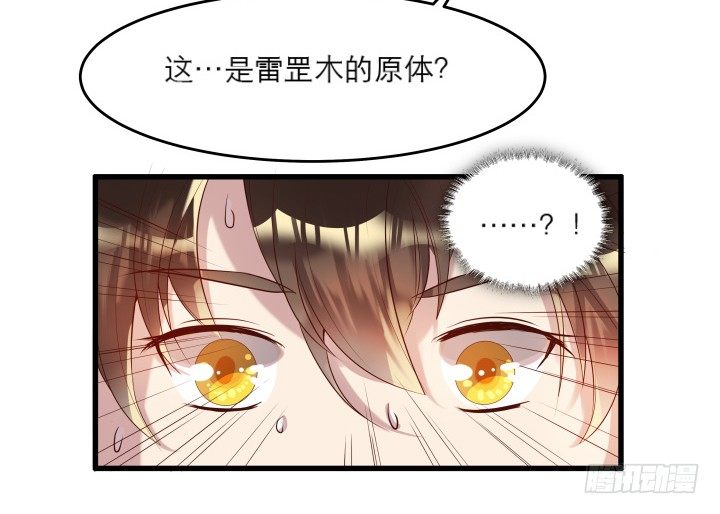 19话 我要守护大家(1/2)-第19话