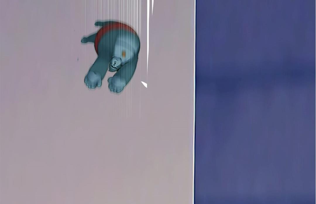 新年特刊 下(1/2)-第31话