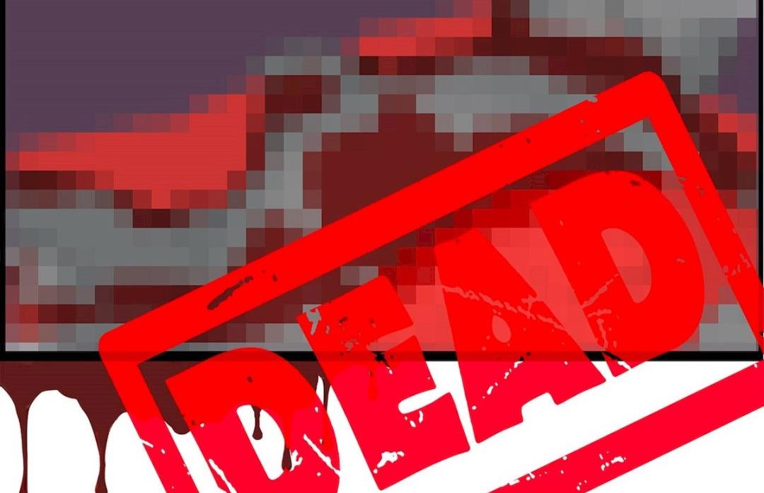 新年特刊 下(1/2)-第31话