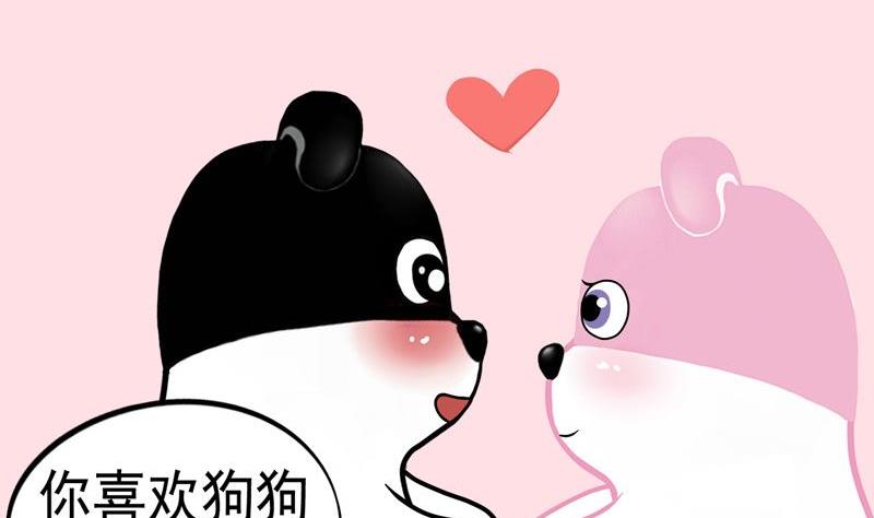 你喜欢猫咪还是狗狗呢-第1话