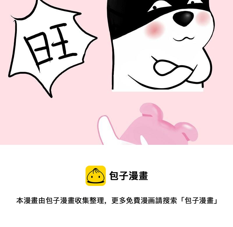 你喜欢猫咪还是狗狗呢-第1话