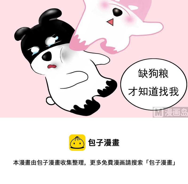 你喜欢猫咪还是狗狗呢-第1话