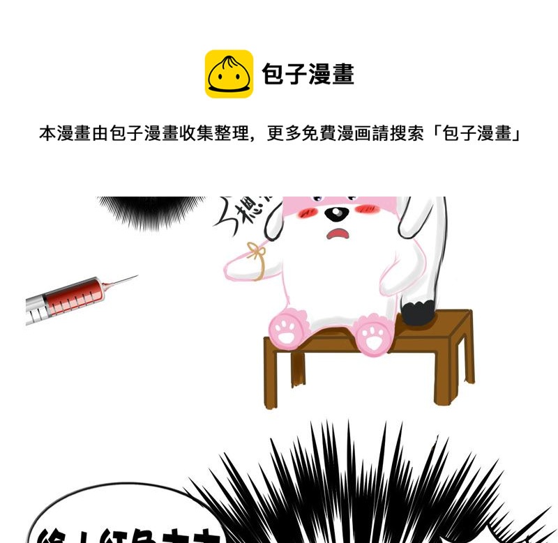 你愿意跟我去领红本本吗-第11话