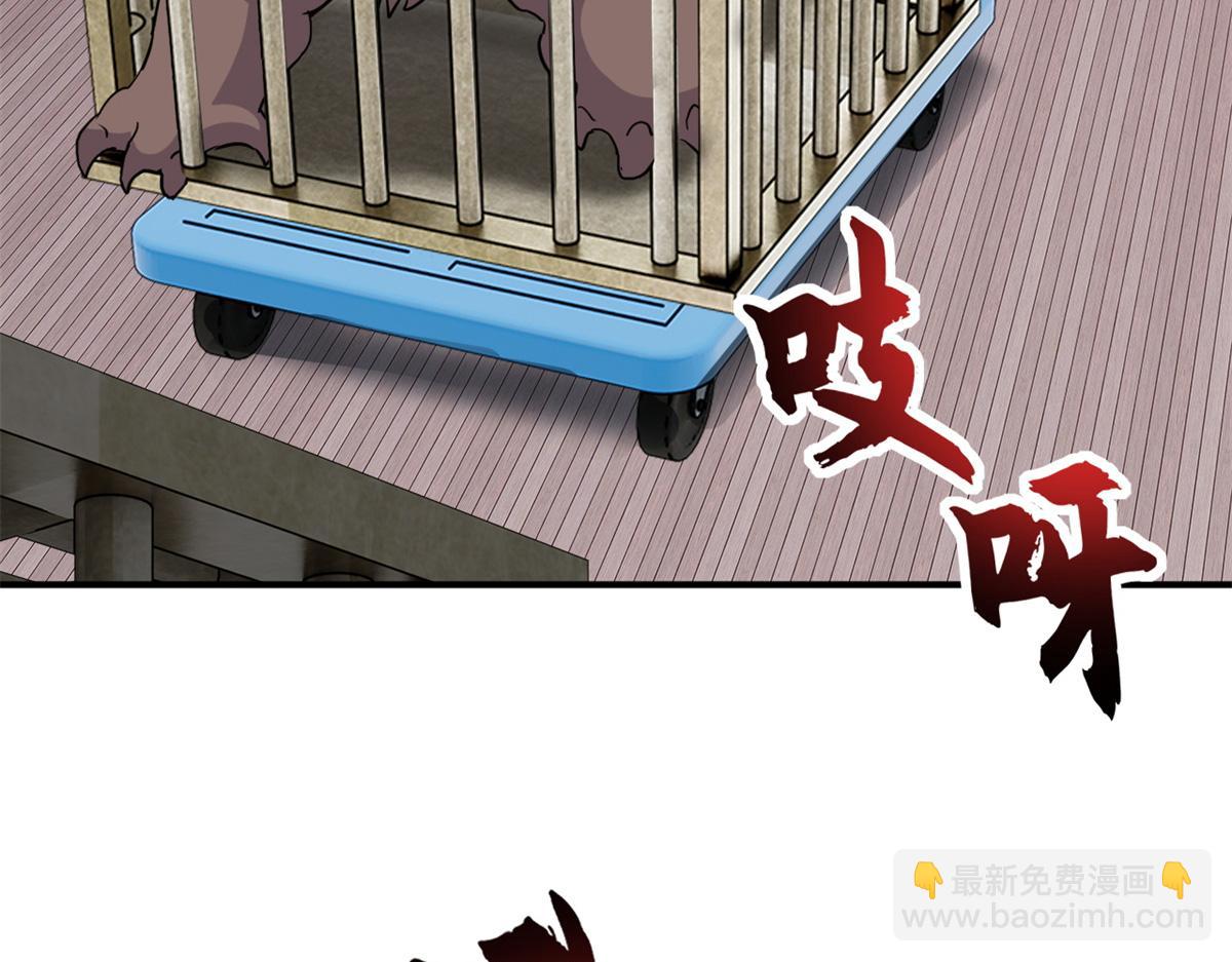 超神寵獸店 - 125 臨陣覺醒(1/4) - 6