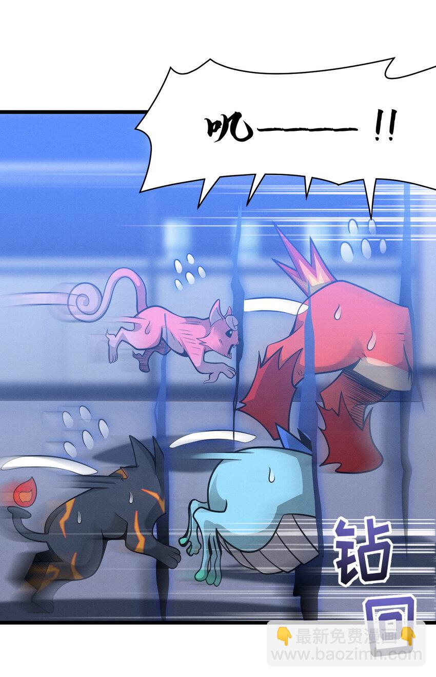 超神寵獸店 - 40 龍獸之間，亦有差距 - 4