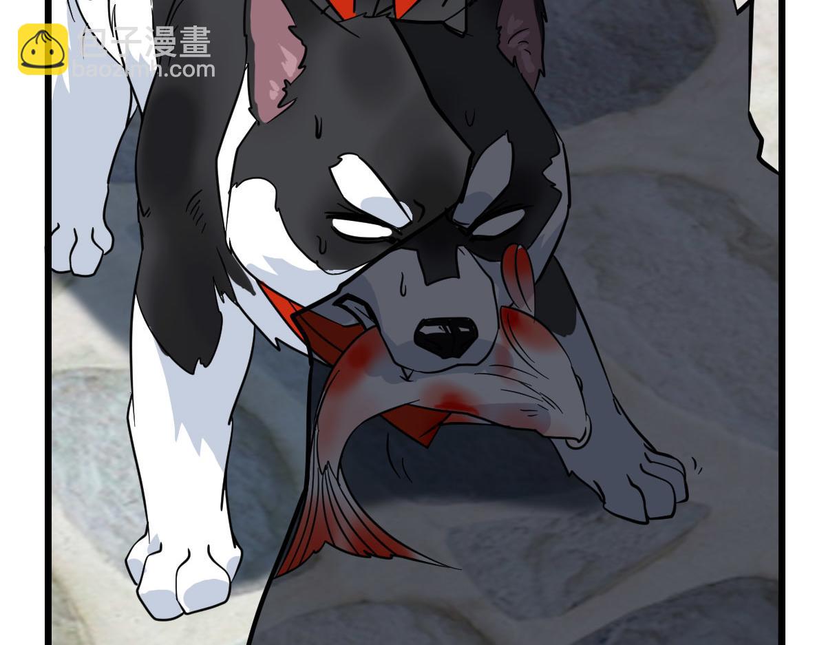 第92话 收获满满(1/3)-第93话