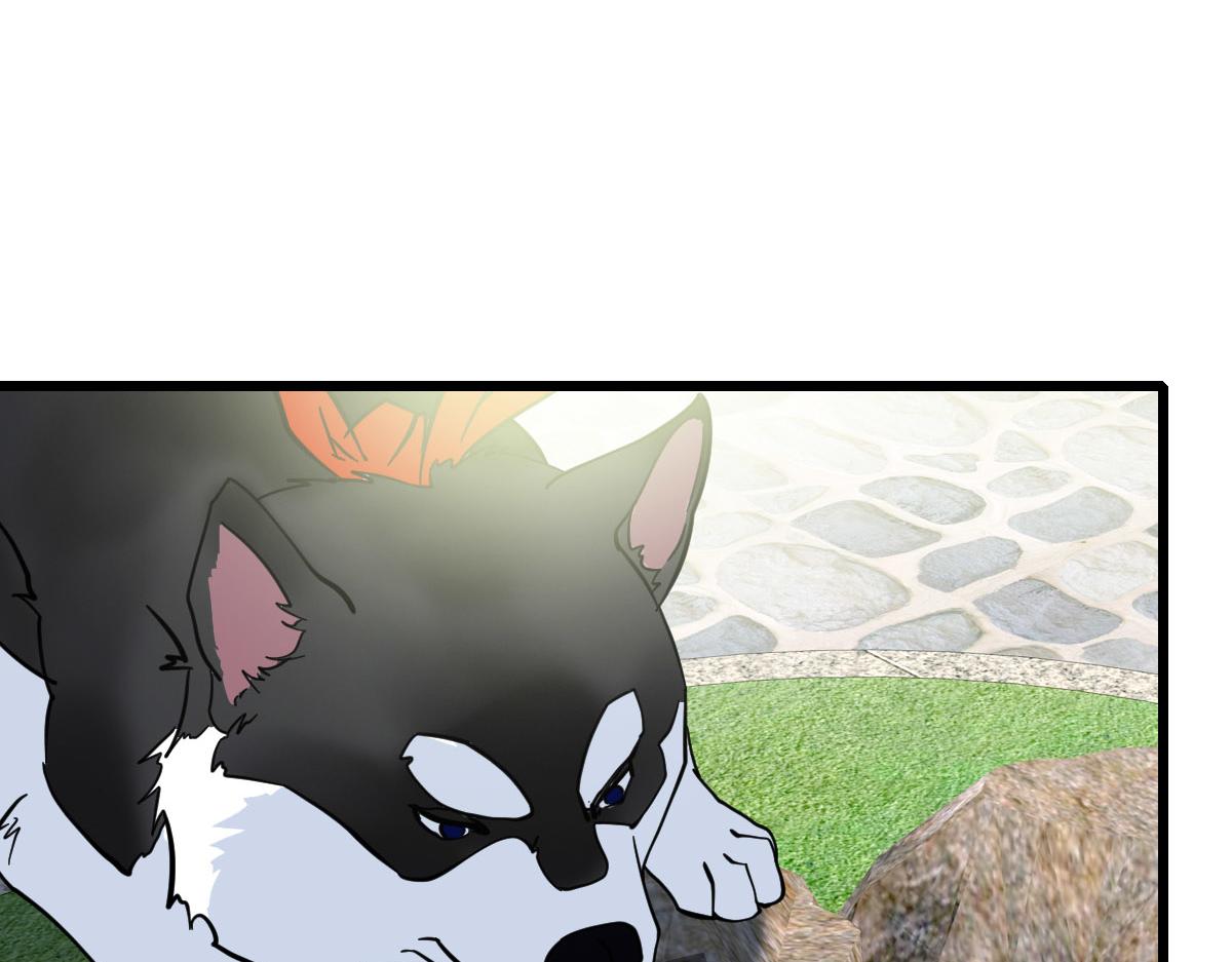 第92话 收获满满(1/3)-第93话