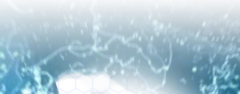 第二十七话 意外来客(1/4)-第31话