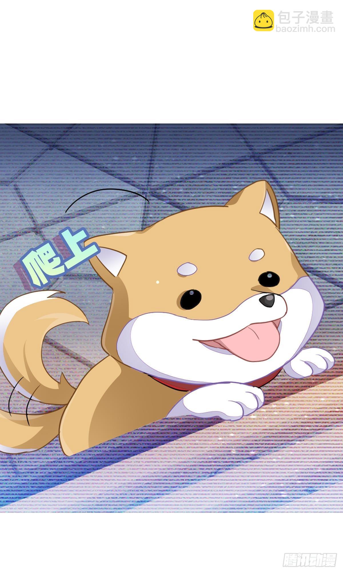 丑小鸭的春天(1/3)-第31话