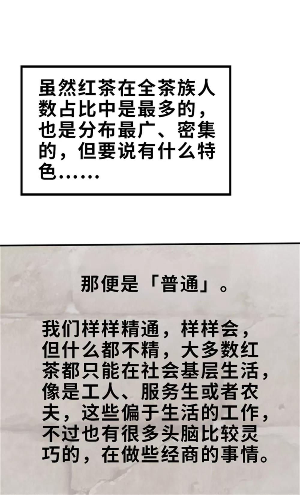 第33话 粉丝激战2-第33话