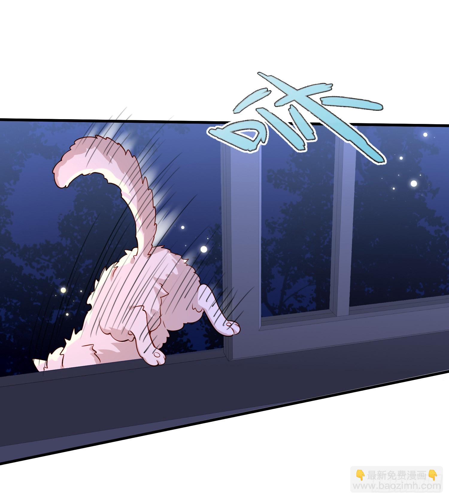 第49话原来你是女孩子？！-第53话