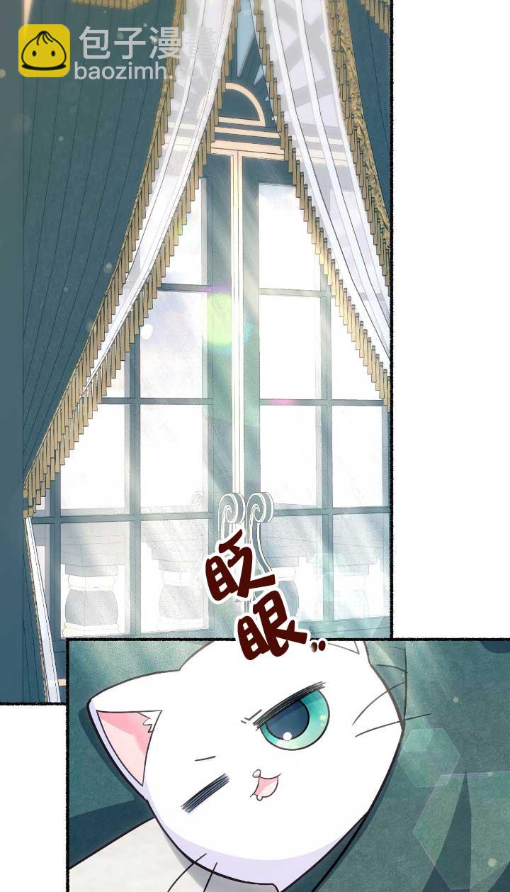 成了每晚和偏執暴君共眠的貓 - 第05話(1/2) - 4