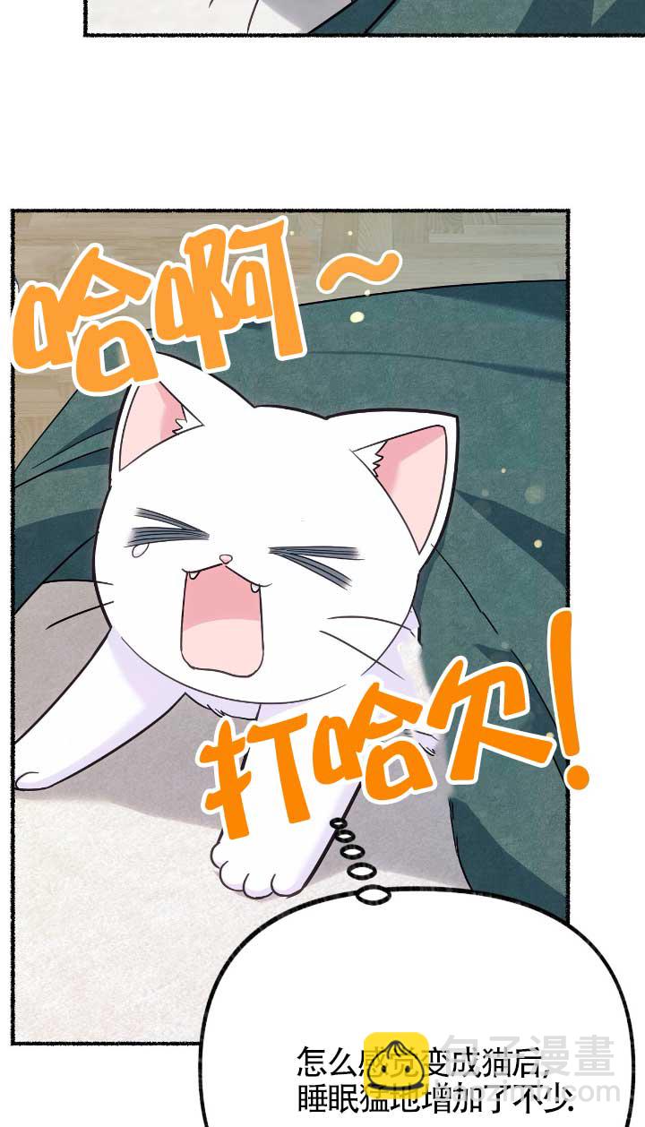 成了每晚和偏執暴君共眠的貓 - 第05話(1/2) - 5