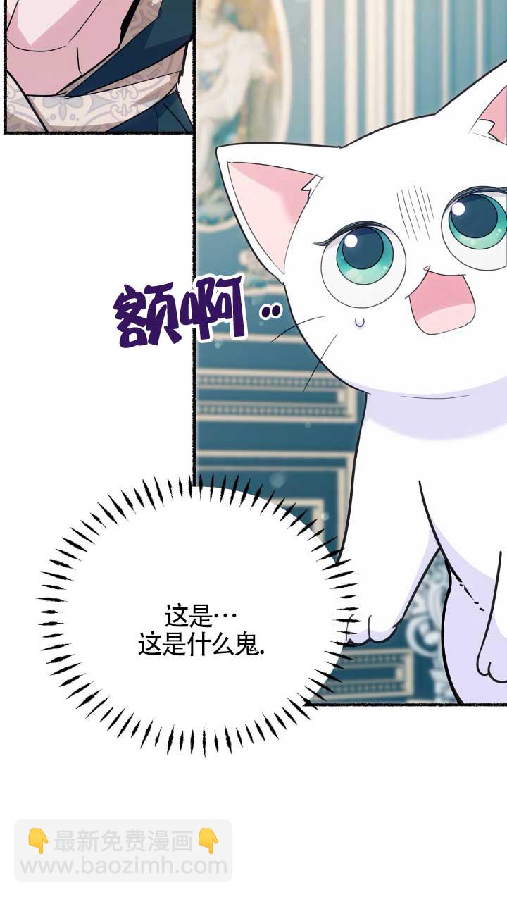成了每晚和偏執暴君共眠的貓 - 第05話(1/2) - 8