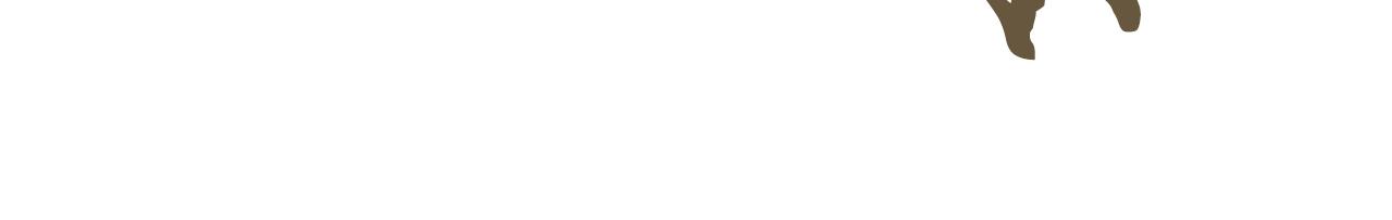 成爲女王的女人 - 第120話 最後的勝負(2/4) - 2