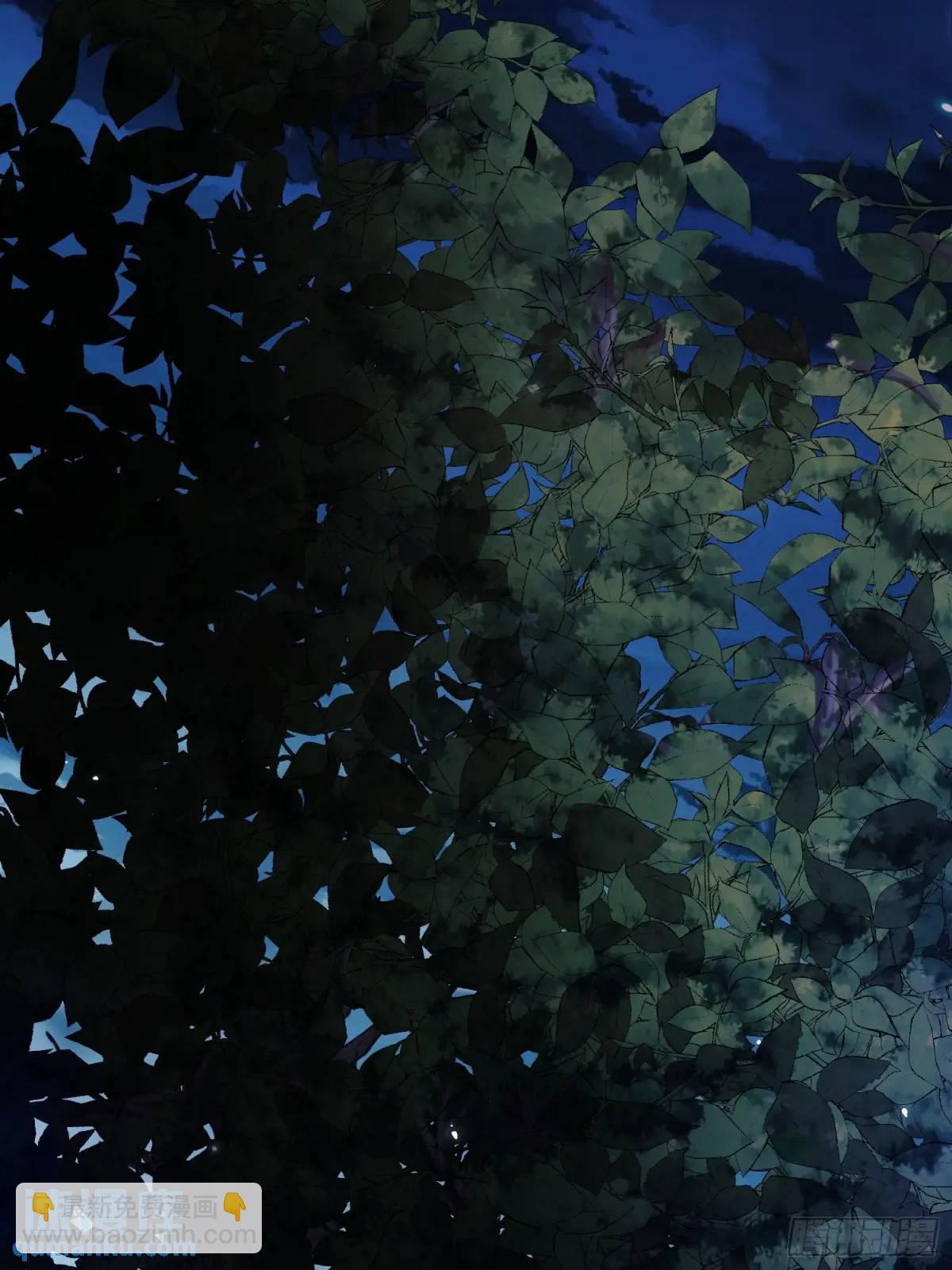 第45话：逗逗小猫咪(1/2)-第45话