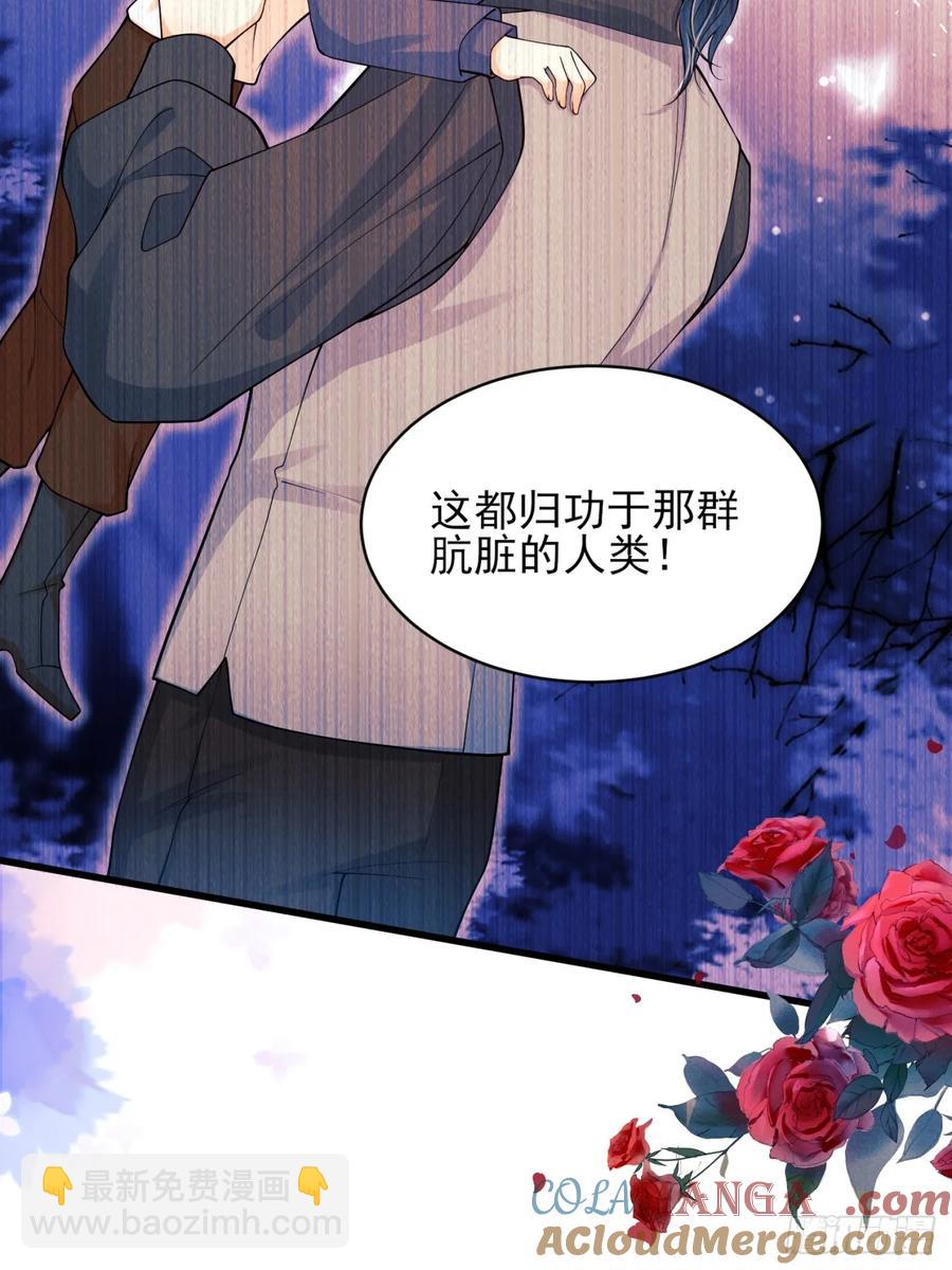 第76话：玫瑰海-第77话