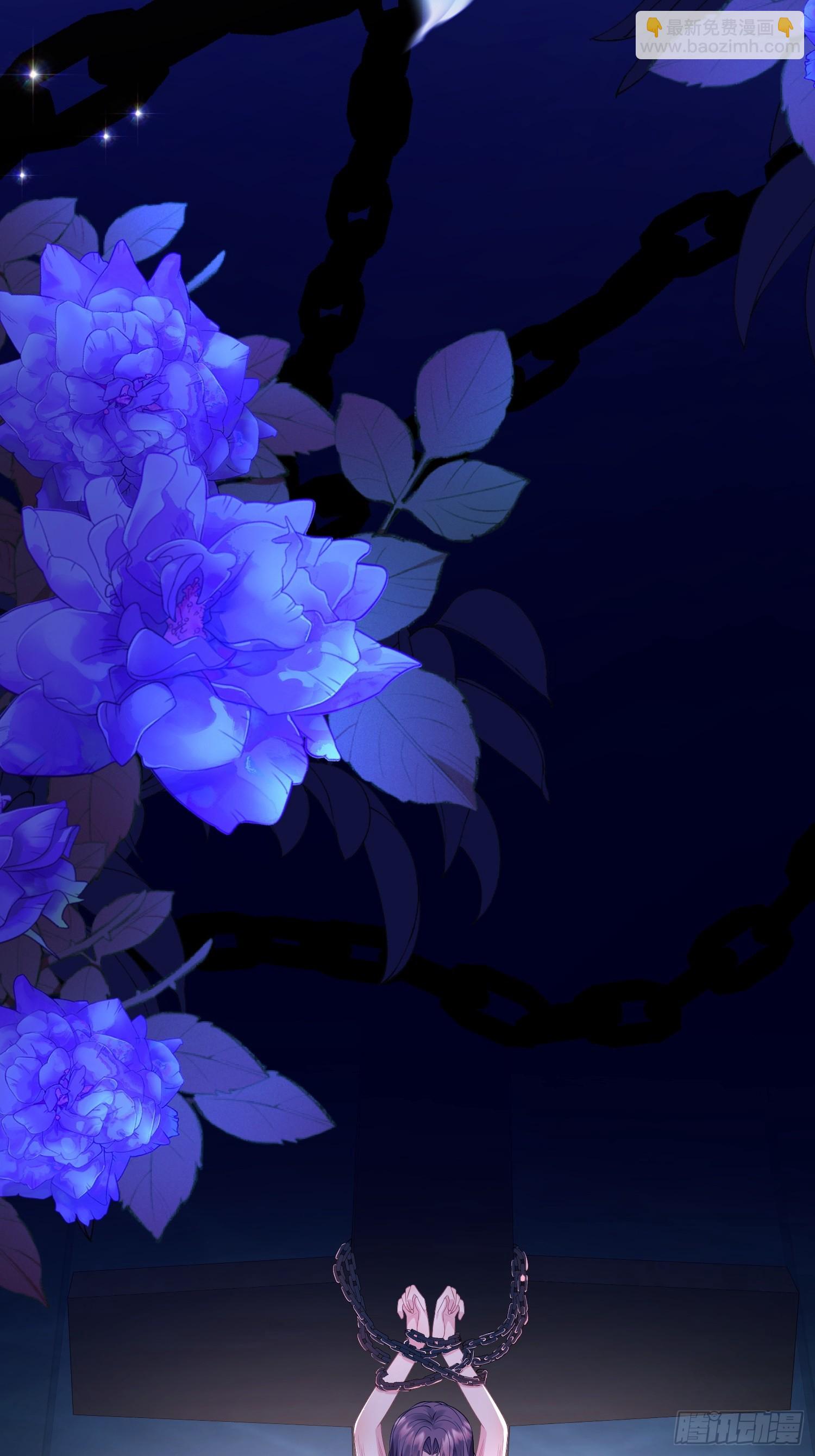 第9话：小宠物怎么可以抑郁(1/2)-第9话