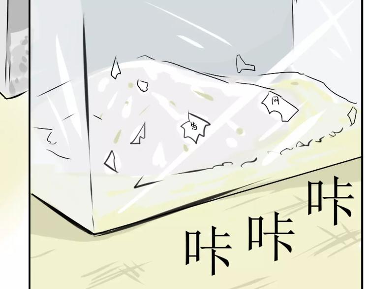 第31话 神秘计划已开始-第31话