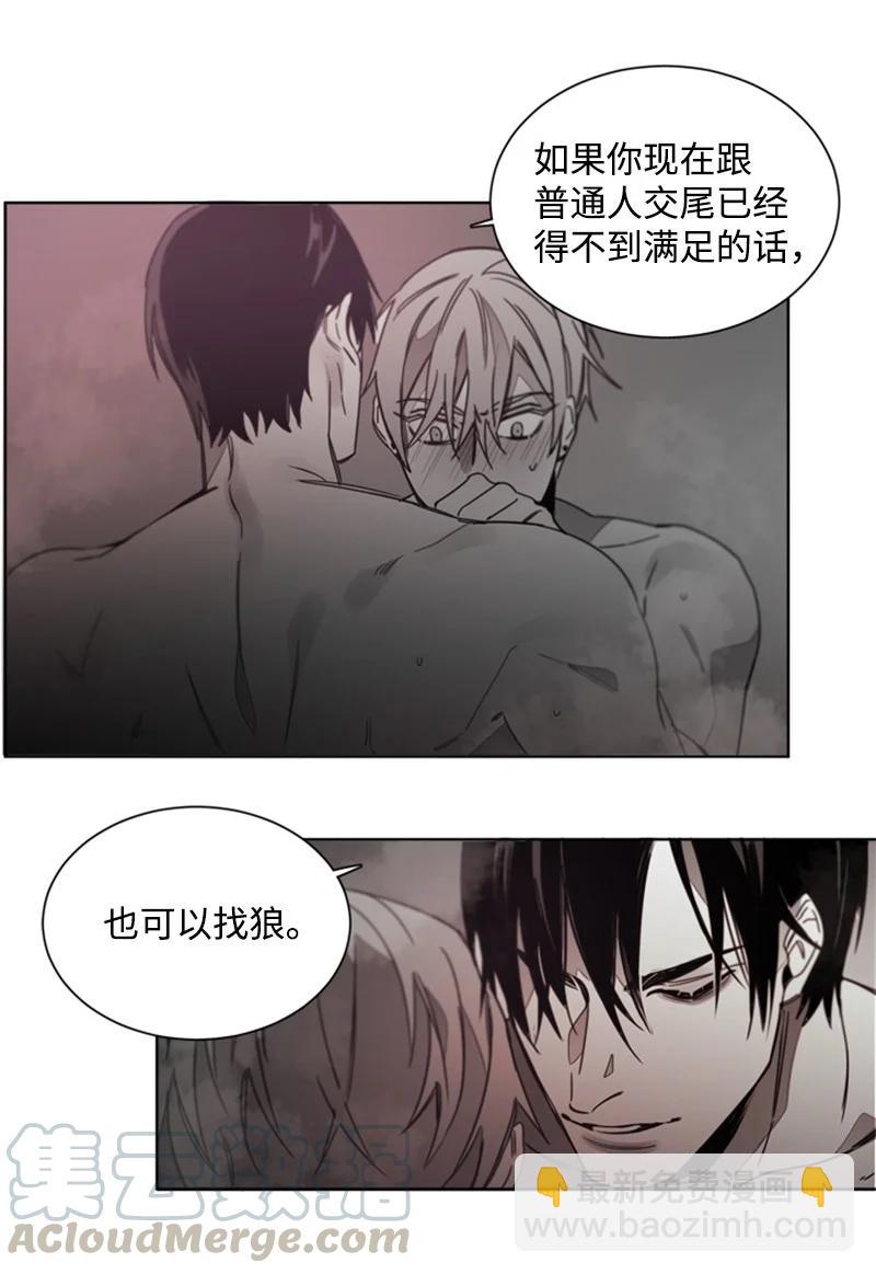 31 狼的忠诚-第31话