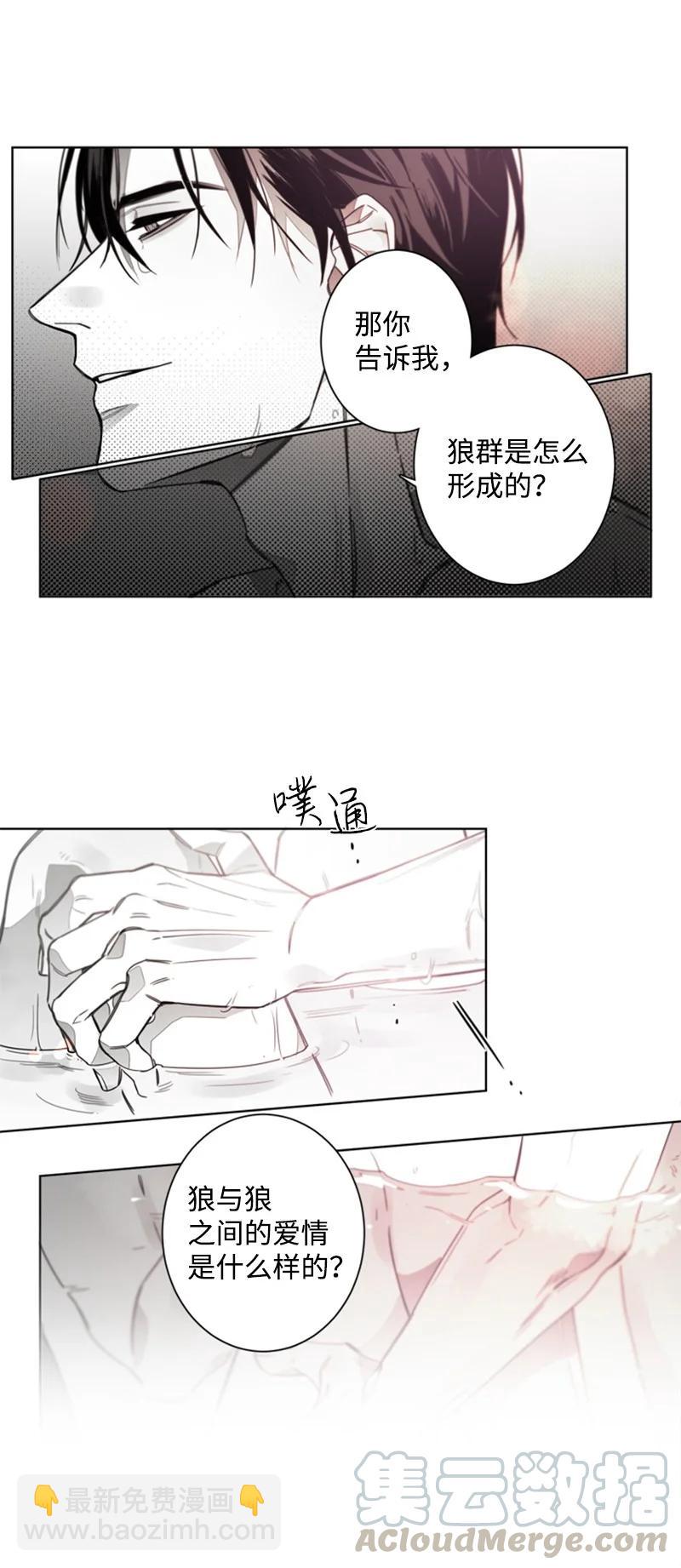 31 狼的忠诚-第31话