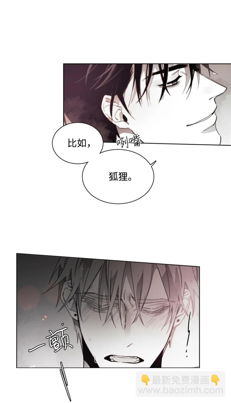 31 狼的忠诚-第31话