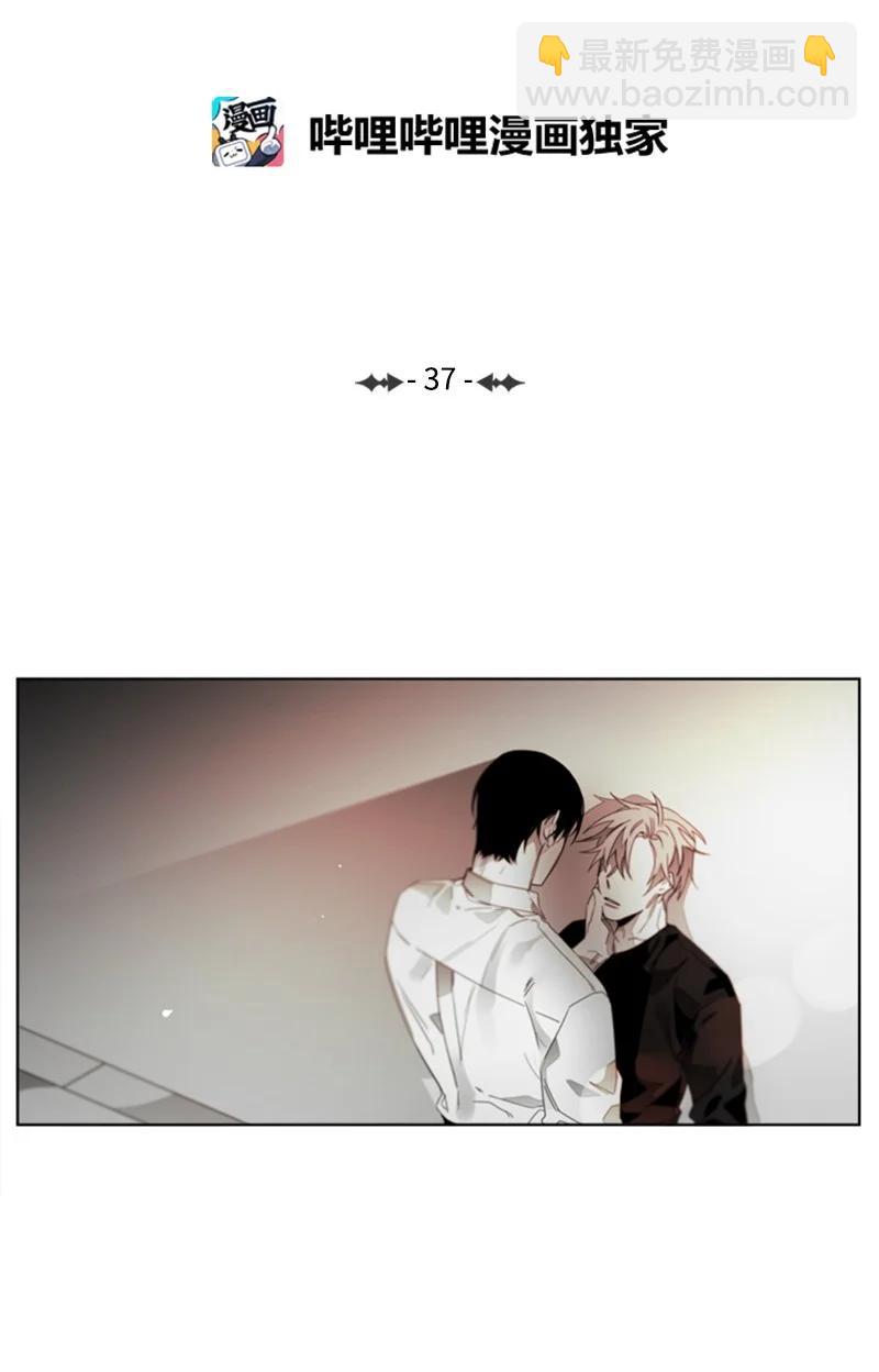 37 回应-第37话
