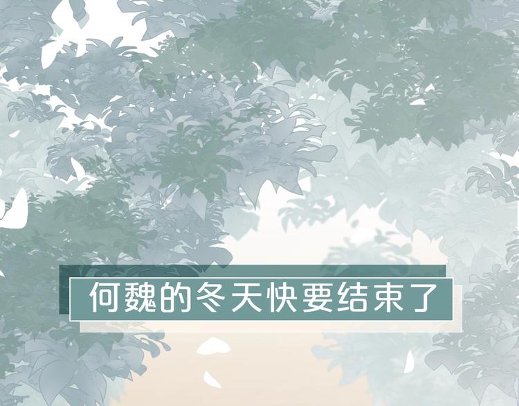 新作《春日将至》来了！！！-第57话