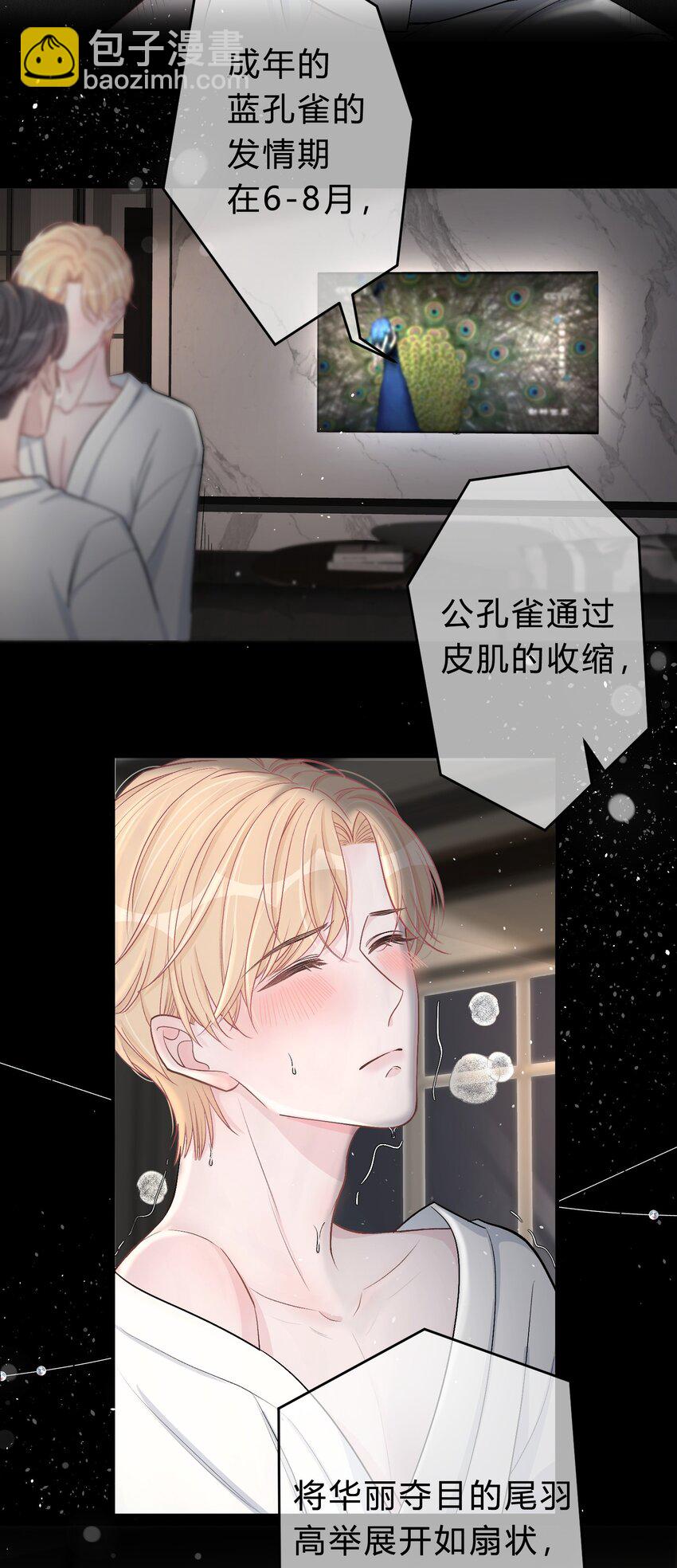 028 我的小公孔雀发情了？-第29话