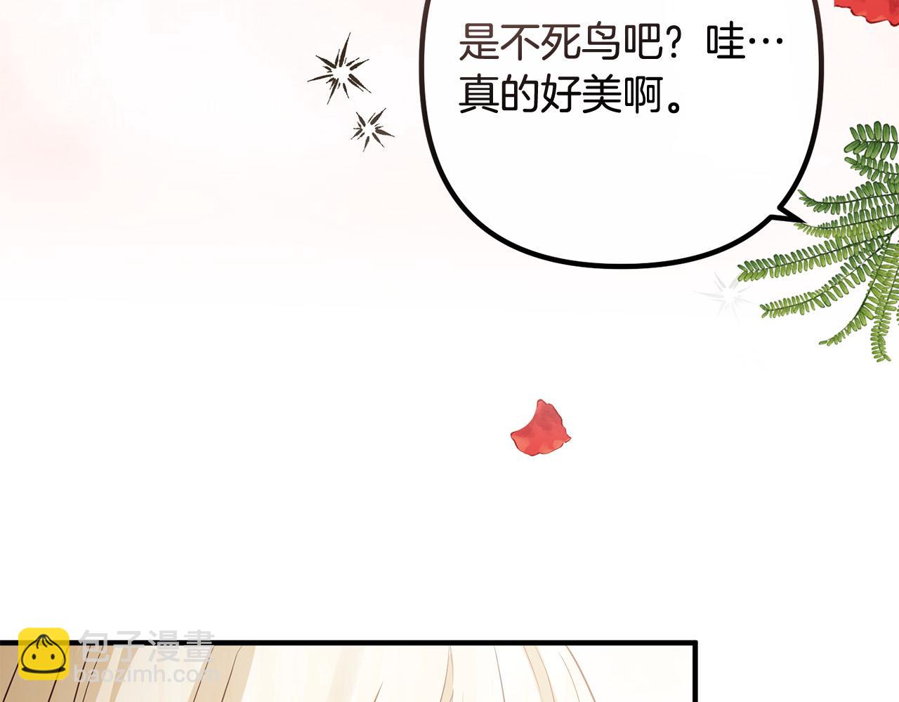 第83话 不死鸟(1/4)-第83话