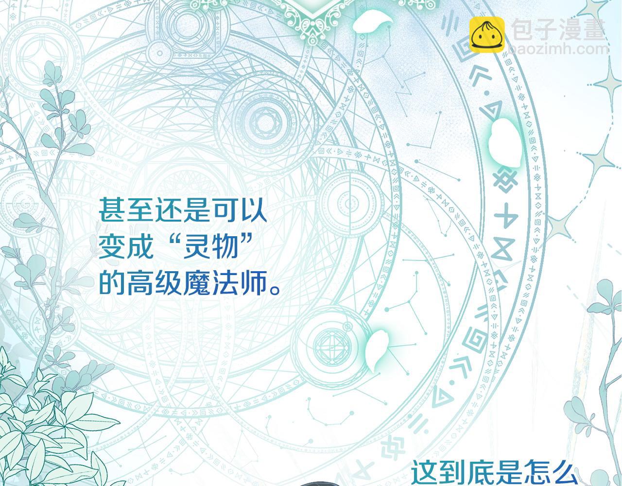 第4话 魔法师的保护(1/4)-第5话