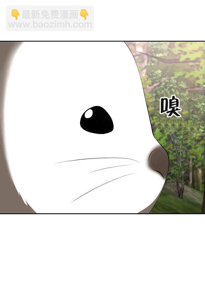 離婚是條件 - 第47話(1/2) - 5