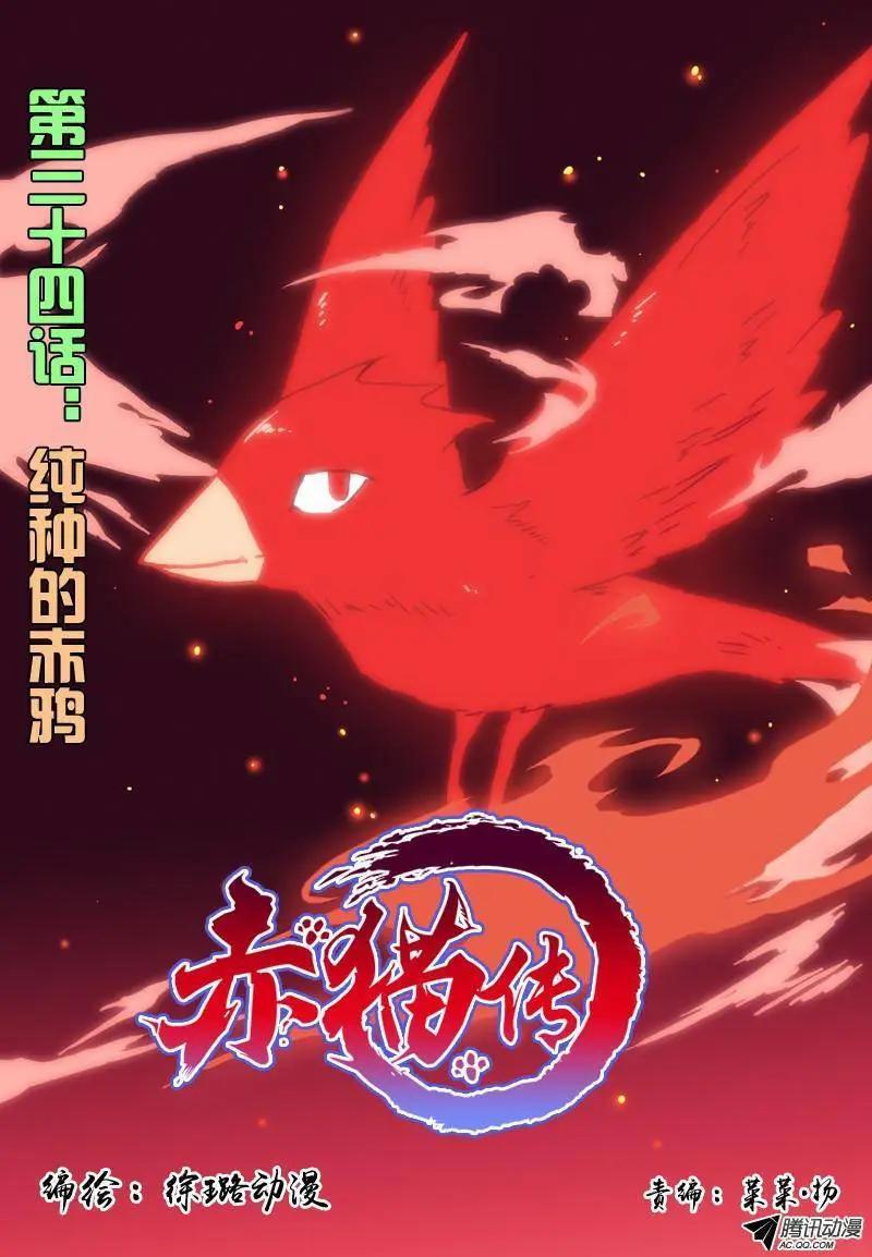 第34回 纯种的赤鸦-第33话