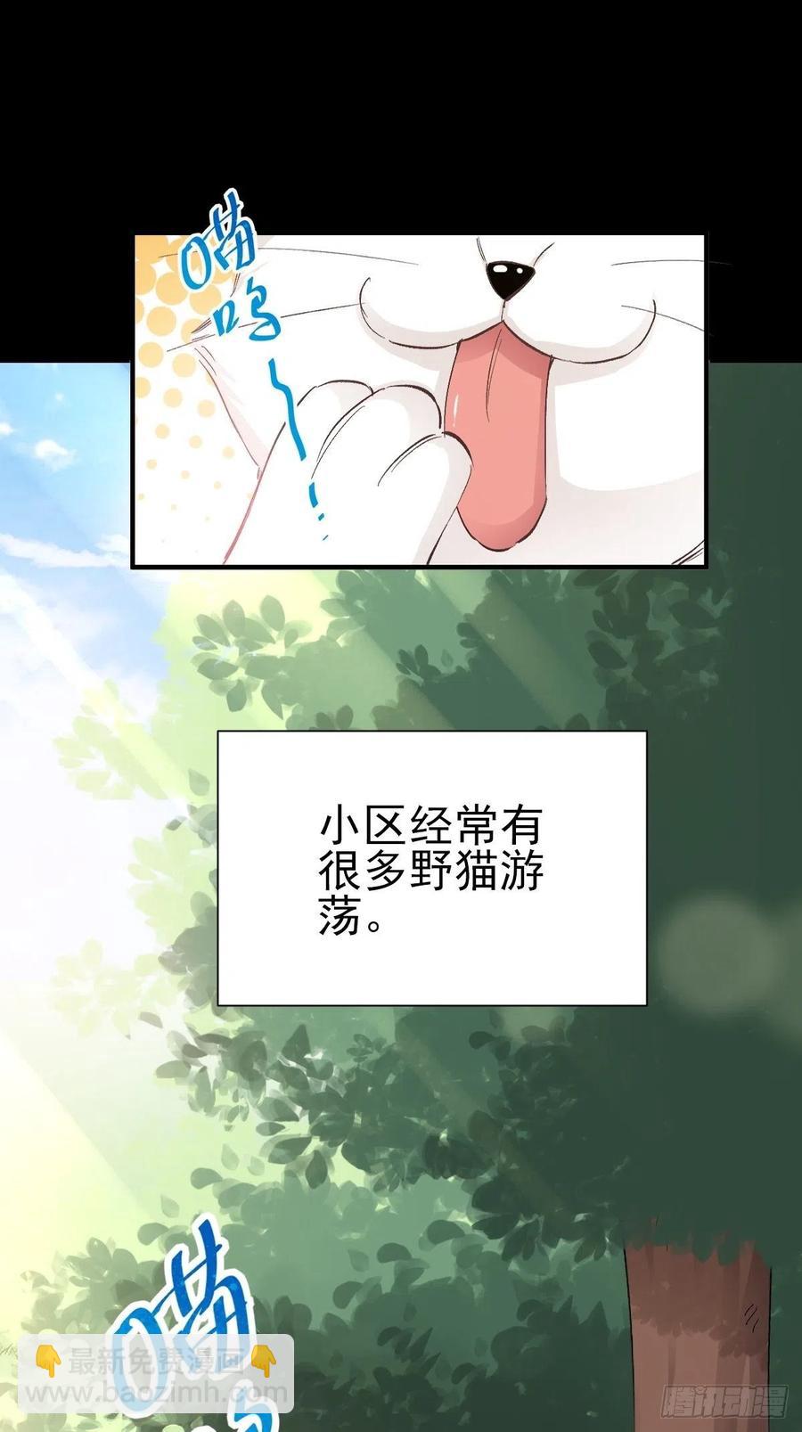 106 野猫杀手（1）-第117话